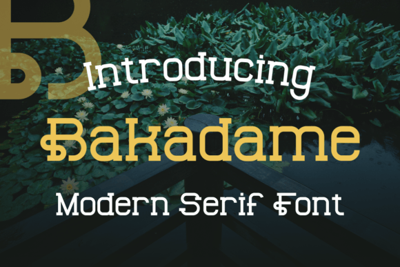 Bakadame: A Display Font with Editorial Charm
