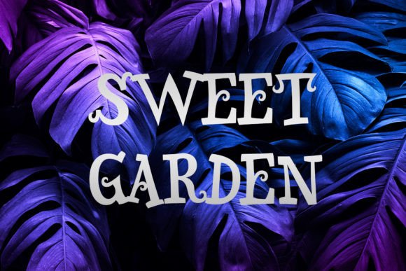 Sweet Garden Font: A Whimsical Display Typeface for Publishing